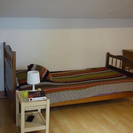 Bel Appartement Au Coeur Du Puy En Velay Le Puy-en-Velay Екстериор снимка